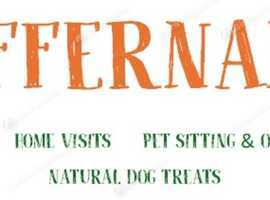 Bury Based Dog Walking - Pet Sitting - Home Visits - Overnight Stays- Heffernan's