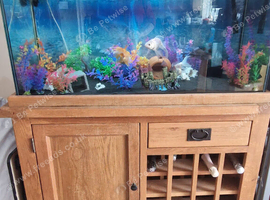 solid oak cabinet fishtank