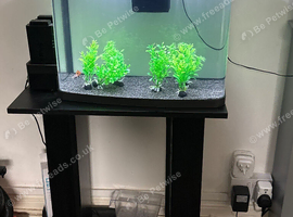 Goldfish and tank