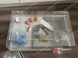 Cage and accessories