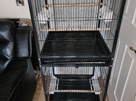 2 tall bird cages