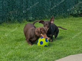 Brothers