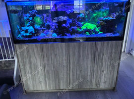 Marine set up