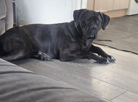 Rehoming