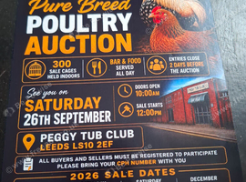 Poultry