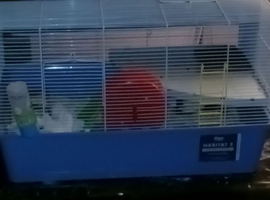 Habit 2 cage