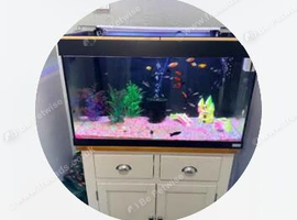 Fish tank with accessories