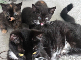1 black & white male left !