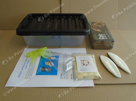 GIANT AFRICAN LAND SNAIL STARTER KIT (FREE POSTAGE)