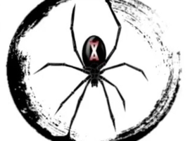 Re-Homing Unwanted Tarantulas