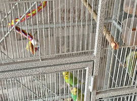 Large 3 tier bird cage