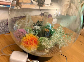 BiOrb 30L Fish tank