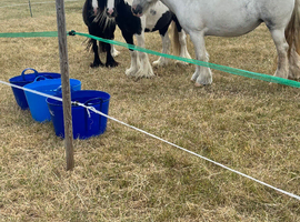 Wanted Grazing land