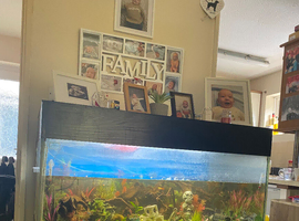 Fish tank for sale