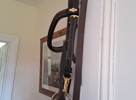 Brand new Le-Mieux Bridle and Martingale Beautiful Bridle