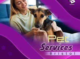 Comprehensive Pet Services Bristol | Care You Can Count On