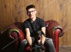 Dobermann