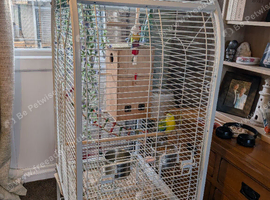 Pr redrumps with lg cage