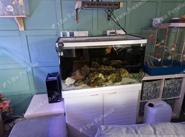 Marine tank
