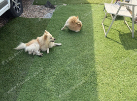 Boy and girl
