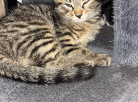 Cute brother and sister