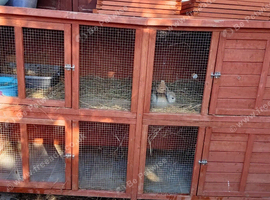 6 ft double hutch