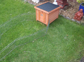 Wanted 2 x Tortoise over 4 years old