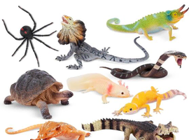 Unwanted and problem reptiles taken in anytime