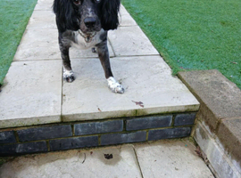 1 half years old