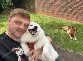 Dog walkers here
