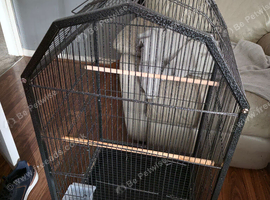 Bird cage brand new on wheels