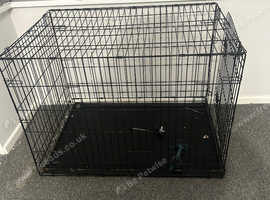 xl dog crete