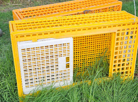Poultry transport crate