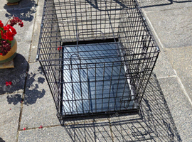 Dog cages
