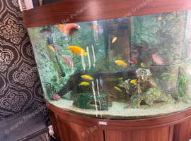 I&rsquo;m closing down my fish tank