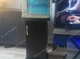 Fish pod 48l aquarium with stand and accessories