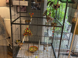 Large floor standing bird cage less than 4 months old