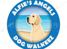 Alfie's Angels Dog Walkeez