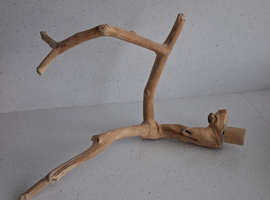 Java wood perch