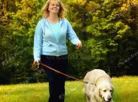 Solo Dog Walks & Home Visits - Stress-Free Care for Your Best Friend