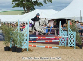 Allrounder 13.2, 11yo part bred Connemara mare