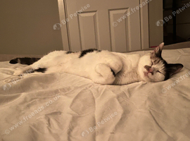 peaches URGENT
