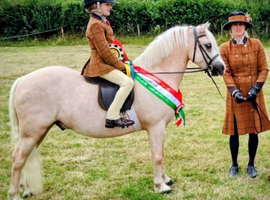 Fantastic Lead Rein Pony, Potential First Ridden