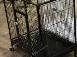 Birds Cage