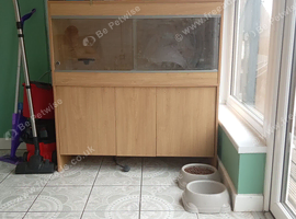 Vivarium with cabinet