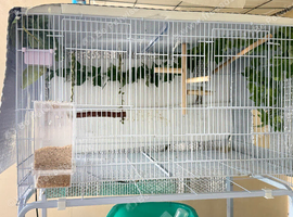 Cage for finches
