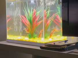 fish tank