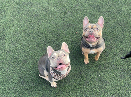 Mum and daughter need a new home