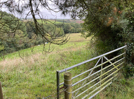 3 acres of good quality grazing, to much grass for my cob