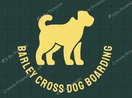 Boarding, Daycare & Walking Services